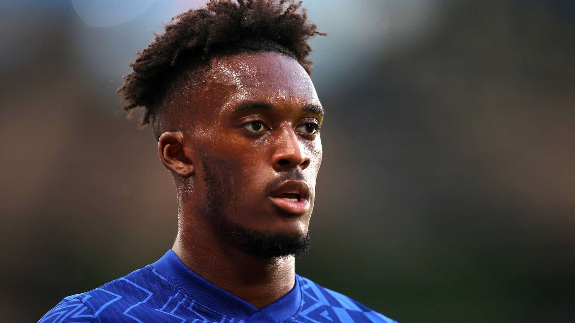 获丰厚的回 获丰厚的回